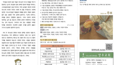 2025년 11월 2일 주보