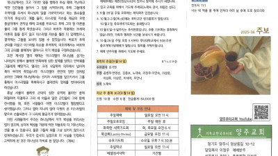 2025년 9월 21일 주보