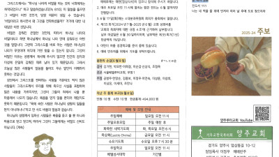 2025년 6월 15일 주보