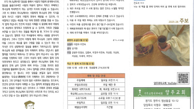 2025년 6월 29일 주보