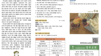 2025년 11월 30일 주보