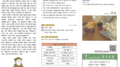 2025년 5월 25일 주보