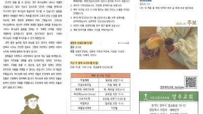 2025년 6월 22일 주보